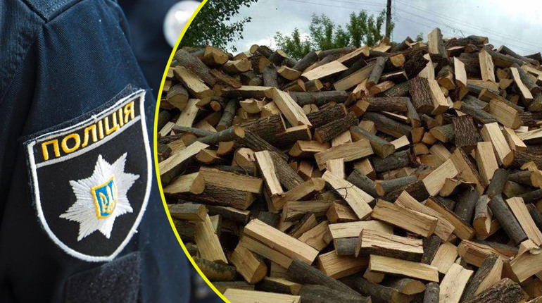 У Переяславі жінка хотіла запастися дровами, а залишилася і без дров, і без грошей: хроніка поліції