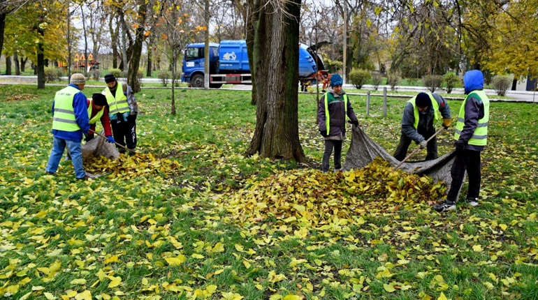 На сторожі благоустрою попри війну: тендери «Паркового господарства» на користь громади