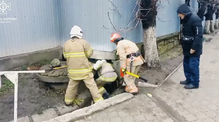 У Подільську рятувальники витягли пса із бетонної пастки. Відео