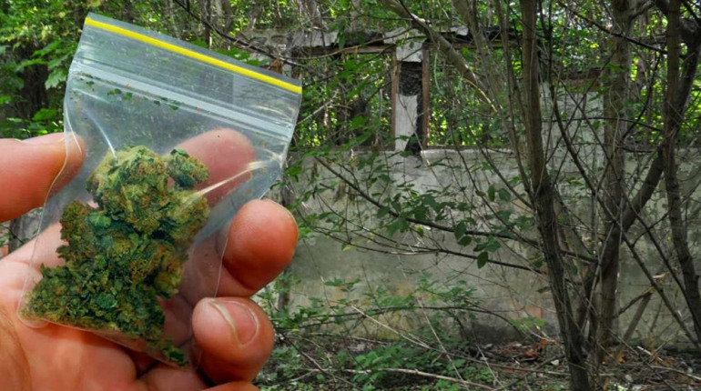 Чоловіка з Черкащини судитимуть за наркозлочин