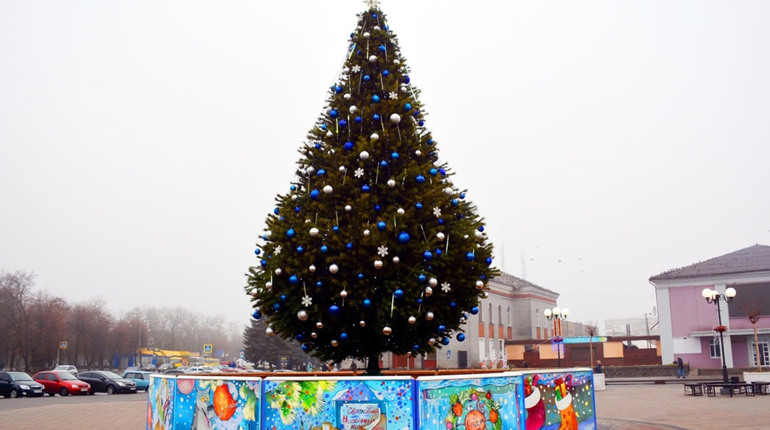 Якою буде новорічна ялинка-2023 у Золотоноші