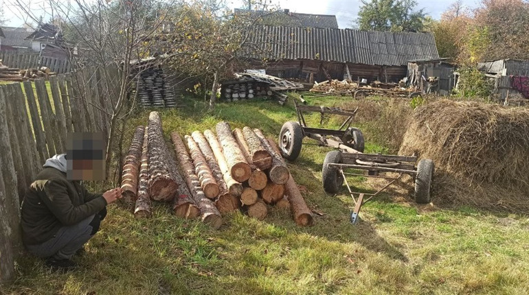На Сарненщині односельчани різали ліс в заповіднику