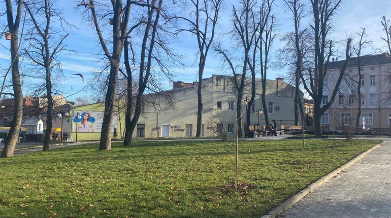 Зловмисники зламали дерева, які росли в пам’ять про жінок, полеглих в російсько-українській війні