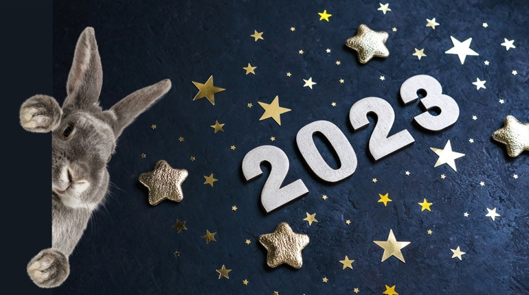 Гороскоп на 2023 рік: що готує нам рік під знаком Чорного Водяного Кролика