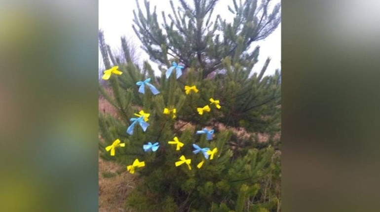 Ялинка незламності в Новій Каховці