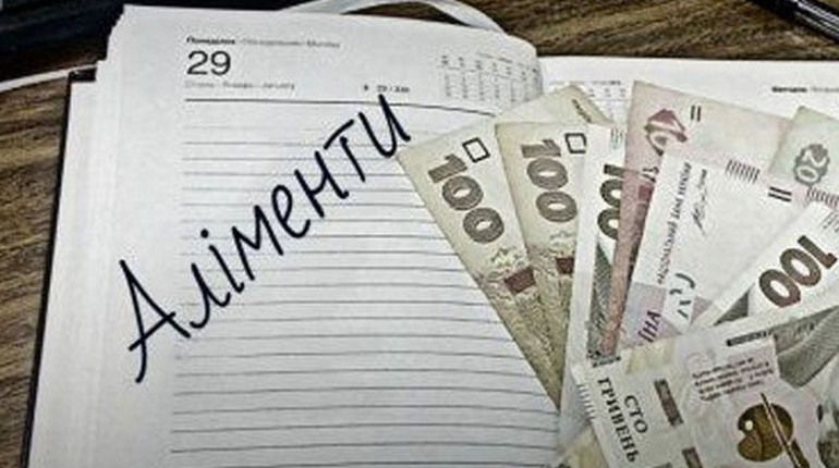 Жителя Лашківки засуджено за злісне ухилення від сплати аліментів