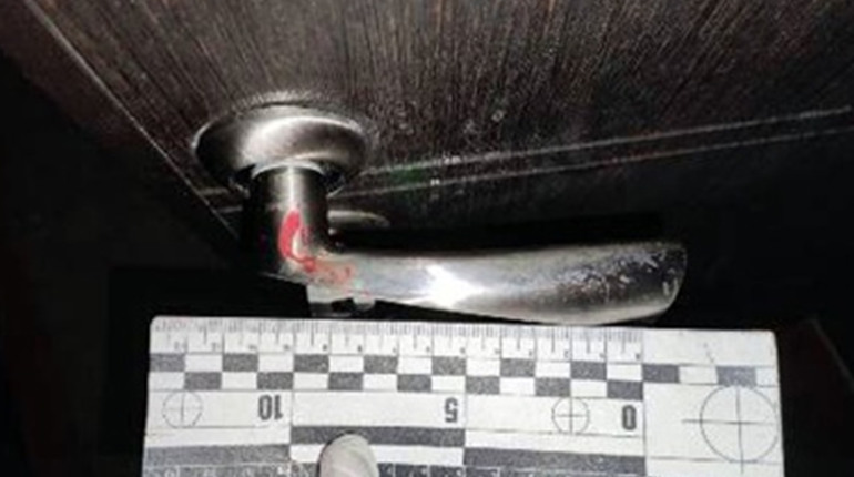 Поліцейські Покровського району розкрили вбивство, вчинене у Добропіллі
