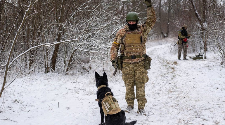 На Одещині службова собака виявила снаряди часів Другої світової війни (ФОТО)