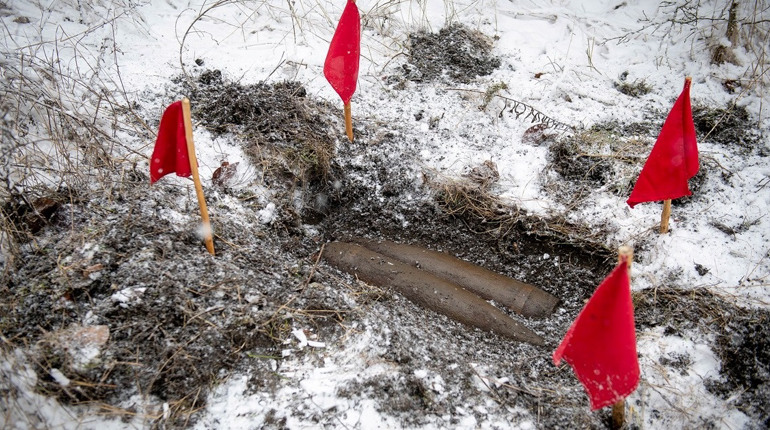 У лісосмузі біля Подільська собака Йорна знайша ще два снаряди часів Другої світової війни