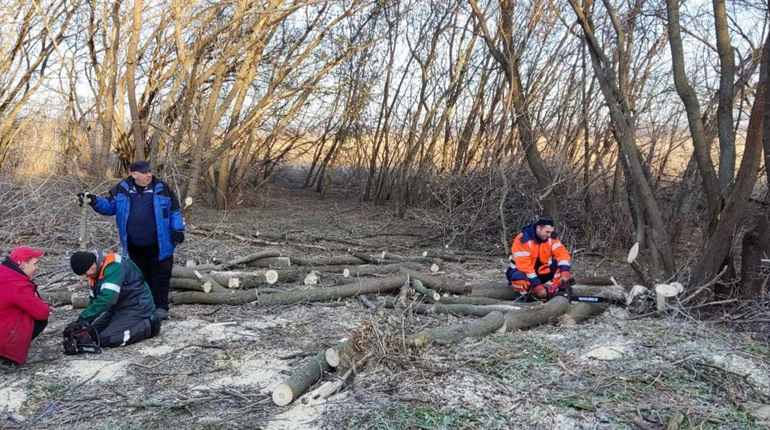В Добропілля через центр зайнятості працевлаштували 39 осіб. Яку роботу їм знайшли
