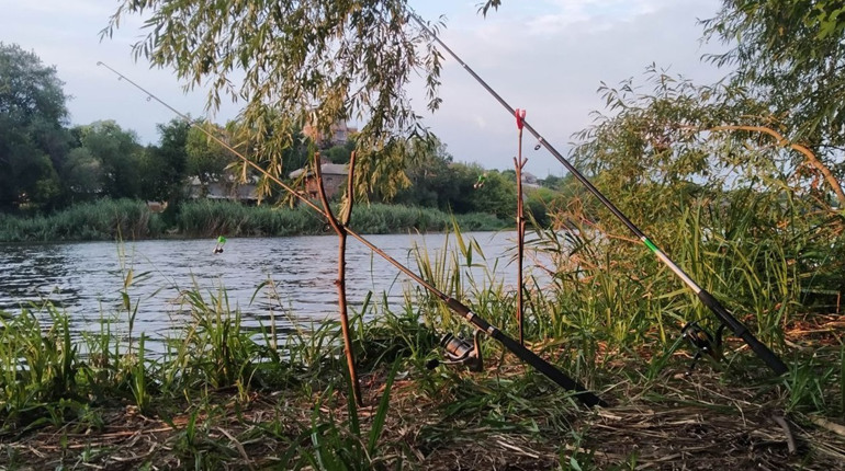 Про нове у правилах рибальства та іхтіофауну «Бузького Гарду»: розмова з фахівчинею