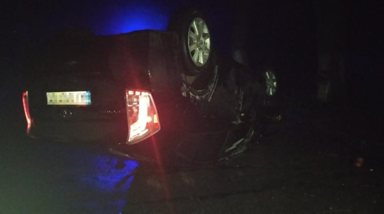 Доїздився: на Звягельщині п’яний водій скерував іномарку у дерево