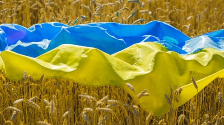 Щоденник війни. Тиждень сорок другий. Ще на один день ближче до перемоги