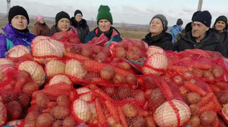У Козацьке і Веселе привезли овочі