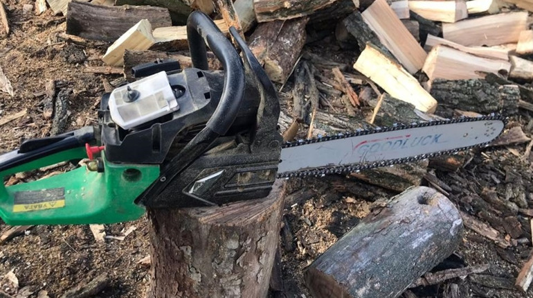На Полтавщині викрили групу зловмисників, які незаконно вирубали дерева на понад 700 тисяч гривень