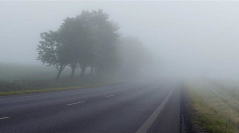 Водії та пішоходів Одещини попереджають про сильний туман найближчої ночі