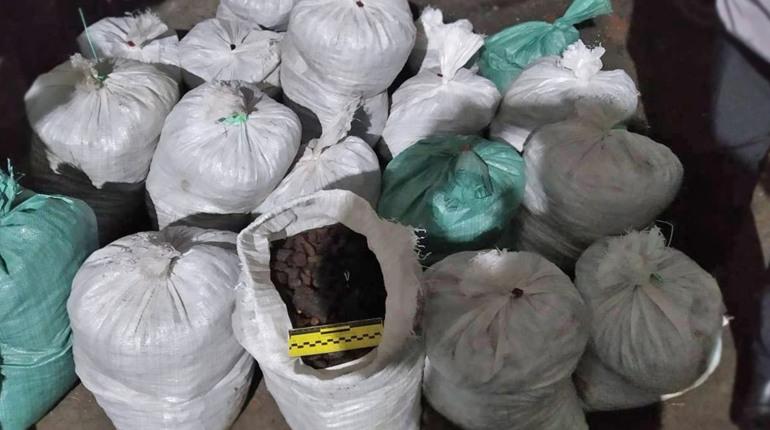 У жителя Сарненського району вилучили бурштин вартістю 1,5 мільйона гривень