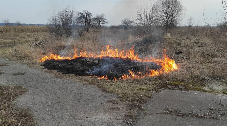 Бур’ян палять – гроші «горять» – це про Ніжин