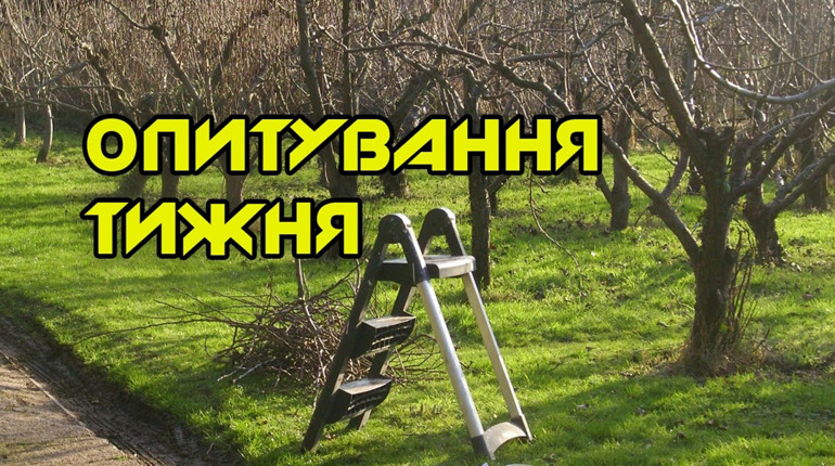 Опитування тижня: які весняні роботи ви розпочали? Розповідають жителі Переяславщини