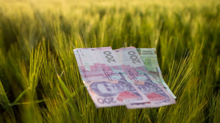 У Гадячі депутати не підтримали рішення про фінансування на 2,5 мільйона гривень КП "Гадяч-Агро"