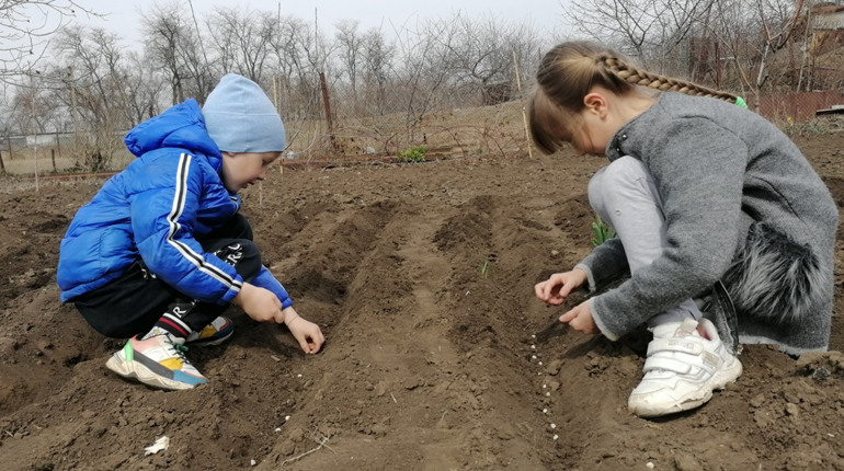 Дефіцит опадів: на півдні Одеської області у ґрунті не вистачає вологи. Які прогнози на врожай-2023