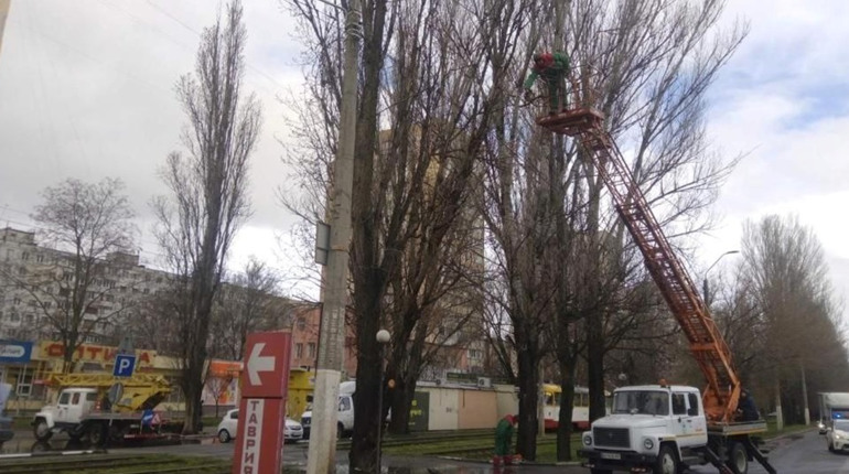 Негода на Одещині: понад 100 повалених дерев, підтоплене узбережжя та дві людини в лікарні