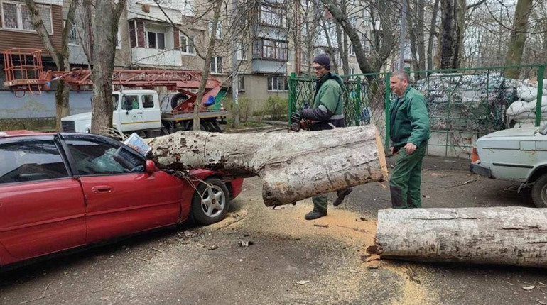 Одеські лікарі розповіли про стан пацієнтів, які постраждали внаслідок деревопаду
