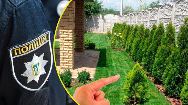 У жителя села на Переяславщині з подвір'я вкрали туї, він підозрює сусідів: хроніка поліції 2 квітня
