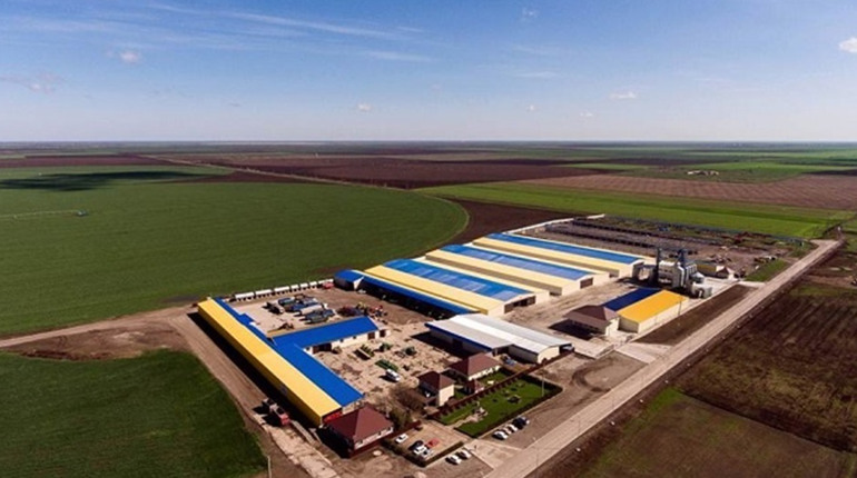 На окупованій Херсонщині росіяни забрали все майно Ігоря Колихаєва
