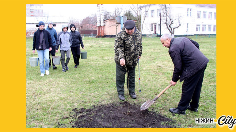 У парку Прокоповича висаджено нові саджанці