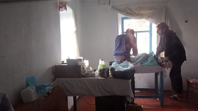 Волонтери під обстрілами організували стерилізацію собак в Оріхові