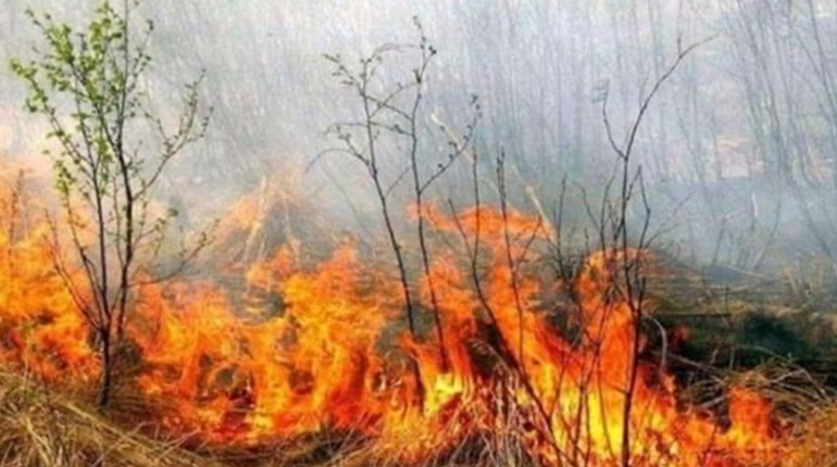 Южненців закликають не палити суху траву: карається законом