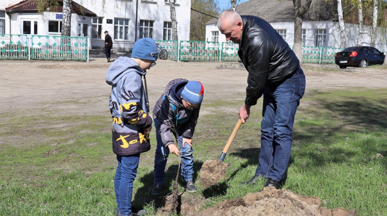 Учні взяли участь в еко-акції та висадили «Шевченківські дуби» біля школи №3 у Тростянці
