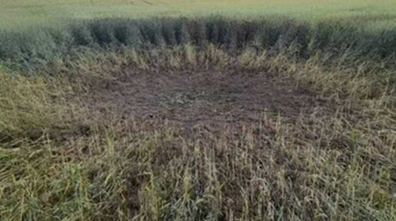 Сумщину та Чернігівщину вранці обстріляли окупанти