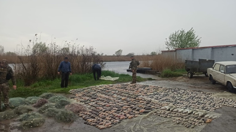 На Херсонщині затримали двох браконьєрів з виловом на 1,8 млн грн
