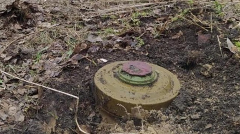 Окупанти мінують поля і дороги у Мелітопольському районі. Подробиці