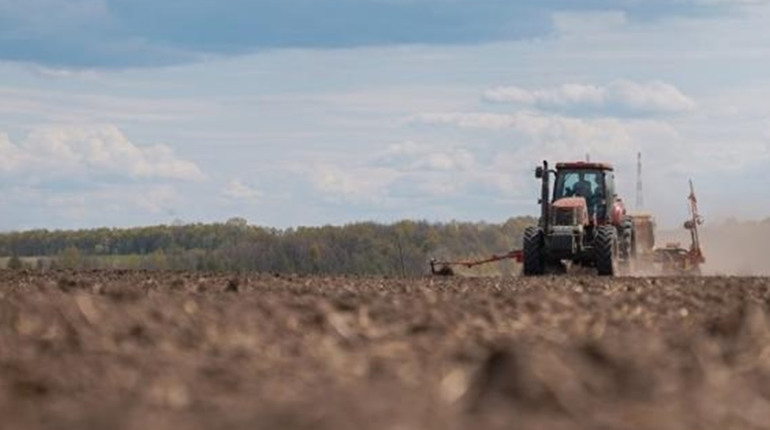 Шосткинських аграріїв масово мобілізують: що буде з посівною