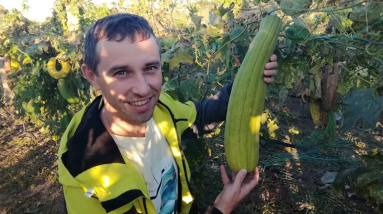 Family Loofa з окупованої Херсонщини відновлює екобізнес з “вирощування” мочалок і губок на Київщині