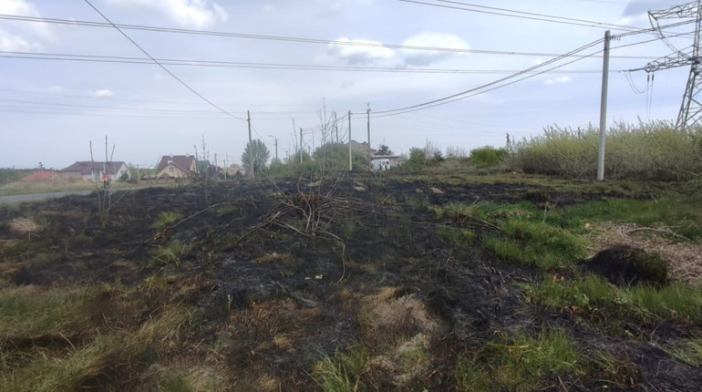 Горіли сміття й суха трава: у Сарненському районі ліквідовували пожежі