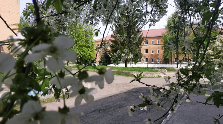 Весна у Гадячі. Фоторепортаж