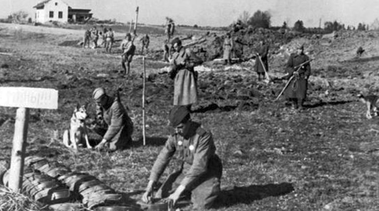 Розстріли партизанів, підпільники та порятунок солдатів: як Красноград пережив Другу Світову війну