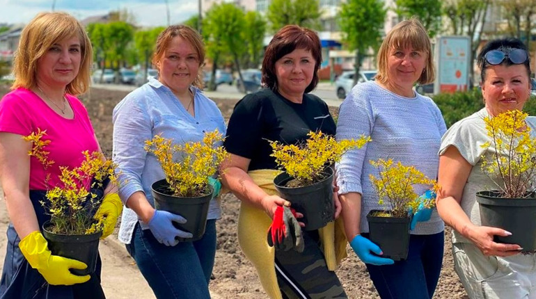 Алея пам’яті нескорених міст у Звягелі: деталі проєкту