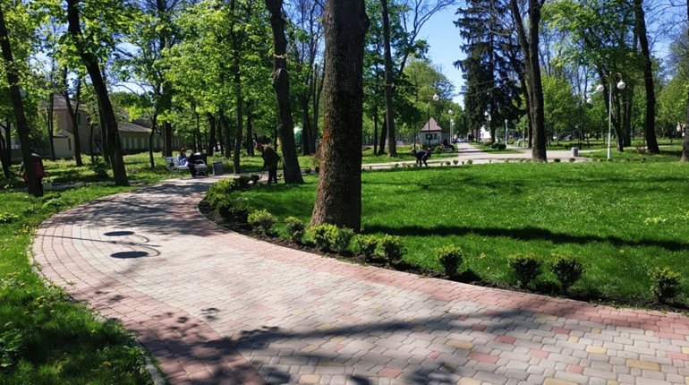 До +24°С. Якою буде погода протягом тижня у Гадячі