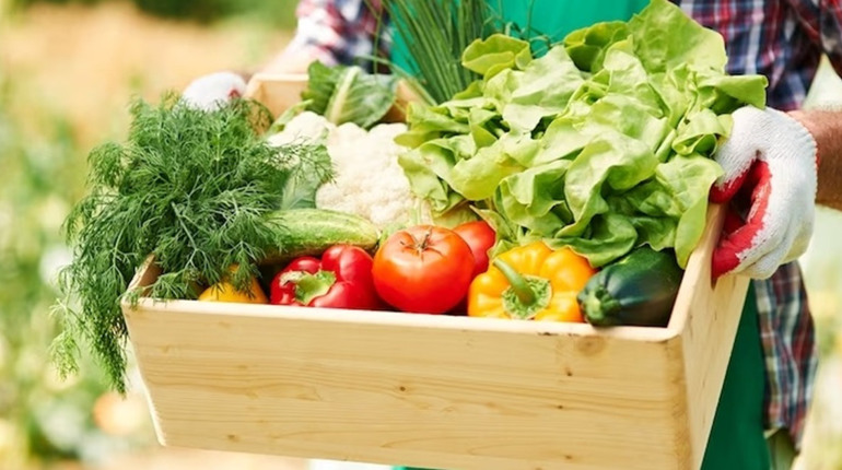 В Україні запустили сервіс для продажу сільгоспродукції