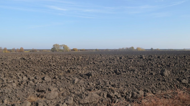 На Кременеччині судитимуть сільського голову та секретаря сільради за підроблені рішення