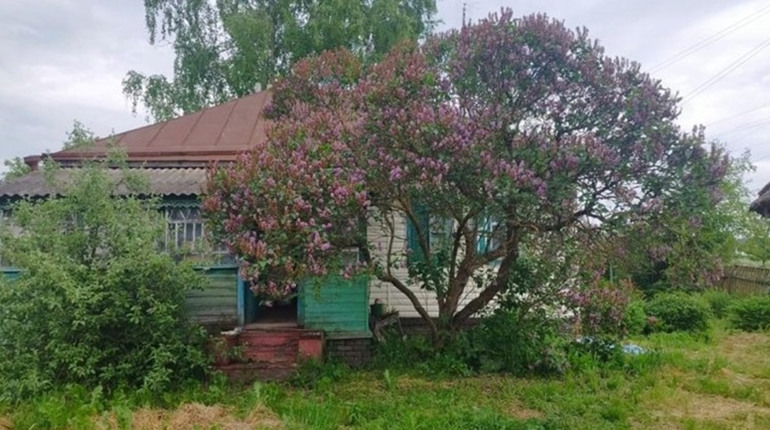 На Гадяччині через ураження струмом загинули дві жінки
