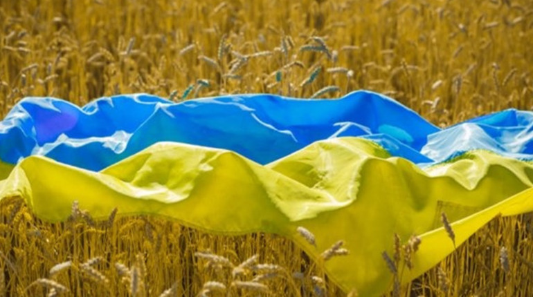 Щоденник війни. Тиждень шістдесятий. ЗСУ точно будуть у Криму