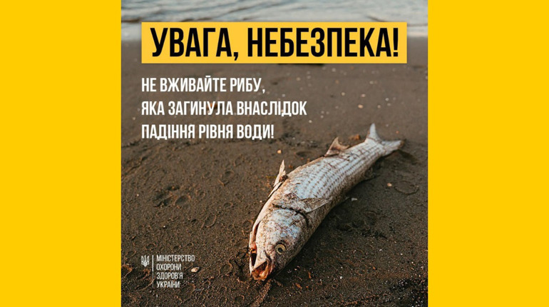 Чому не можна їсти рибу, яка загинула через наслідки підриву Каховської ГЕС: МОЗ
