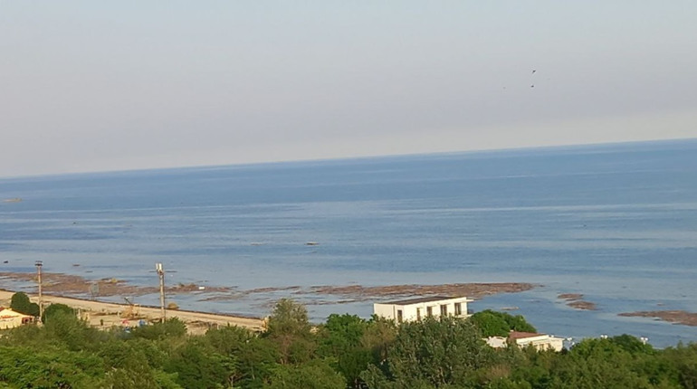 Нечистоти та сміття фіксують в акваторії чорного моря, зокрема на южненському узбережжі(ФОТО, ВІДЕО)