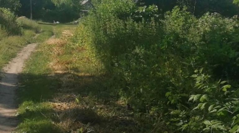 На Шосткинщині під час ворожого обстрілу поранено трьох дітей